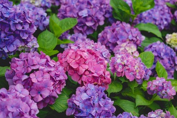 593A42F7-CEB8-4F83-A06E-BA10A4B26BF1/L0/001