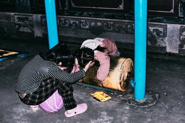 16081