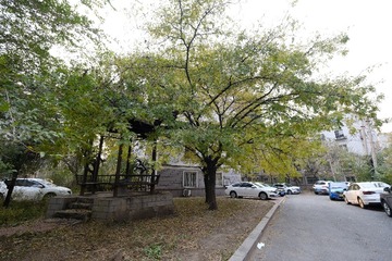 DSCF0300
