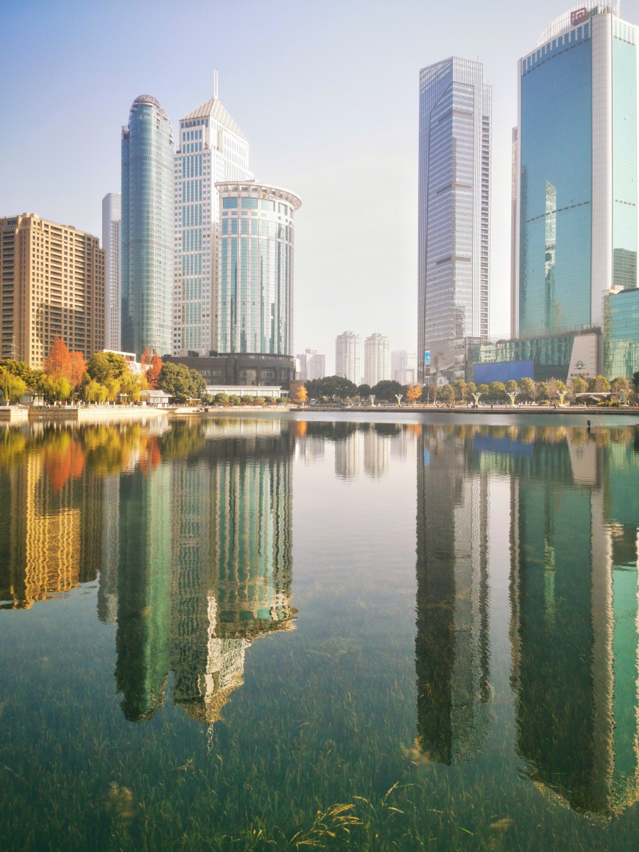 暖冬中的武汉西北湖绿化广场