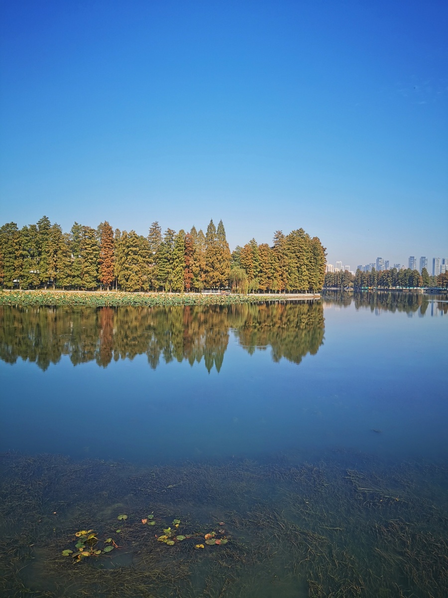 放眼望天水蓝你就在天水之间2021年11月15日摄于武汉东湖梨园风景区
