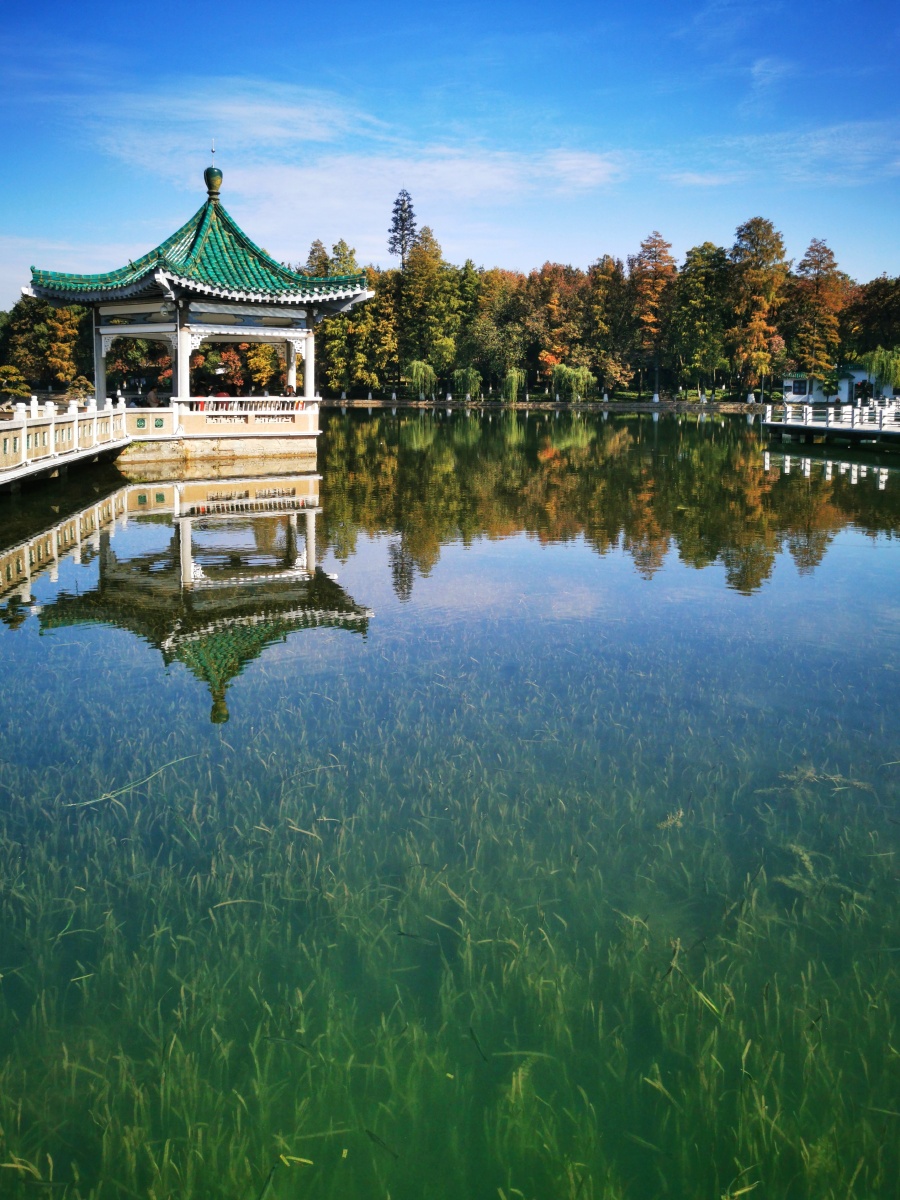 2021年11月15日的武汉东湖梨园风景区之碧潭观鱼沐浴秋风在观鱼栈道上