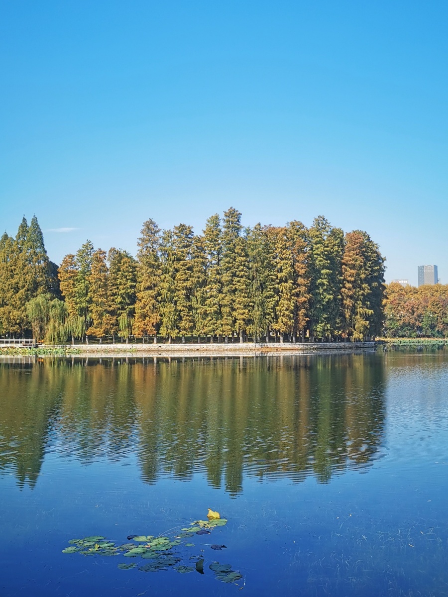 放眼望天水蓝你就在天水之间2021年11月15日摄于武汉东湖梨园风景区