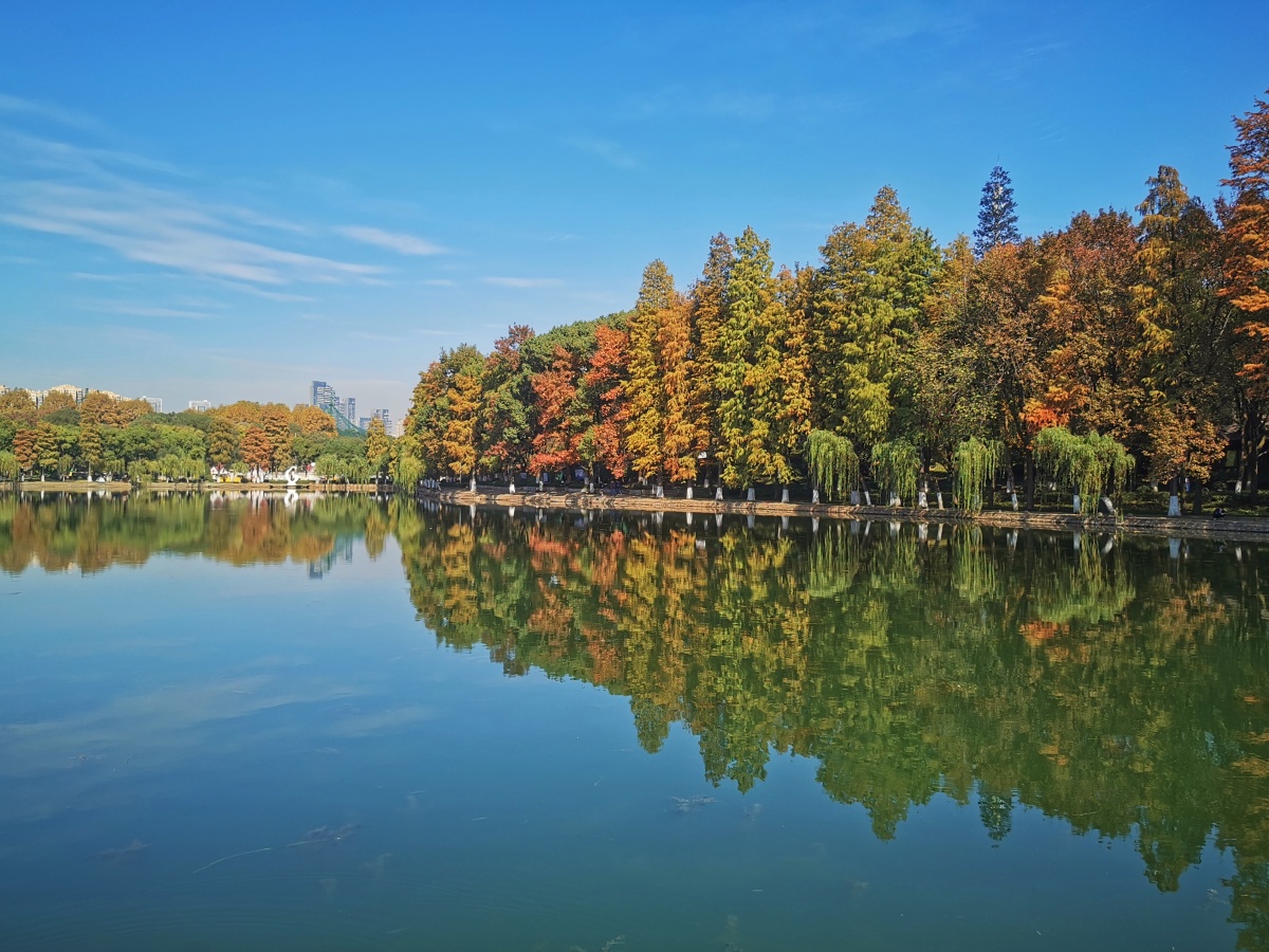 2021年11月15日的武汉秋高气爽东湖梨园风景区里秋色宜人层林尽染秋水