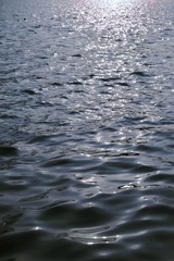 60F0C57C-90ED-49B2-85D4-B6BE15F6DB24/L0/001