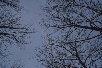 408893C8-07E1-426D-AFA6-8731D220879F/L0/001