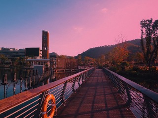 14091