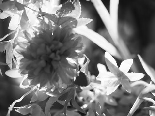 2702E2F3-6A6D-4131-8FC9-5938AB610510/L0/001