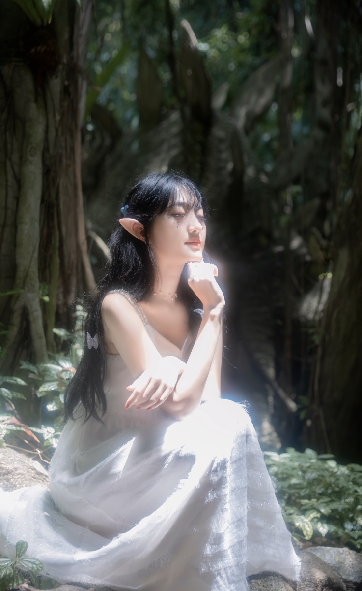 森系精灵二0269