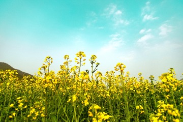 C93AA1C7-5C50-4BA9-B64B-D82AB7986D6D/L0/001