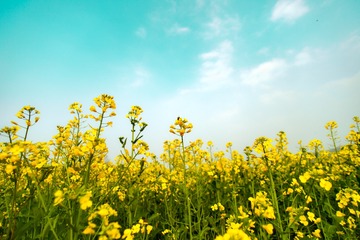 C9FA85E8-492C-4B8B-A315-B993CE05E5D0/L0/001