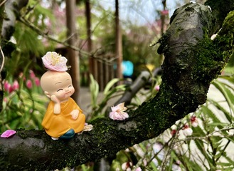 270527D1-903F-43E5-AD9C-FA4BEA15A8CC/L0/001