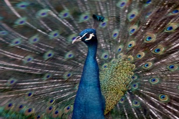 A7F4D05A-5E81-4B37-A7BF-DC789A72BA39/L0/001