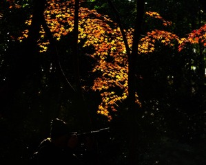 DSC08071_