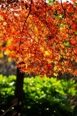DSC08082_