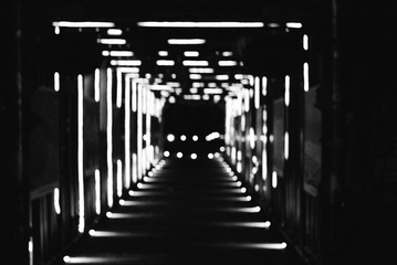 D86ADB8F-1289-4901-A8F0-E085336C194C/L0/001
