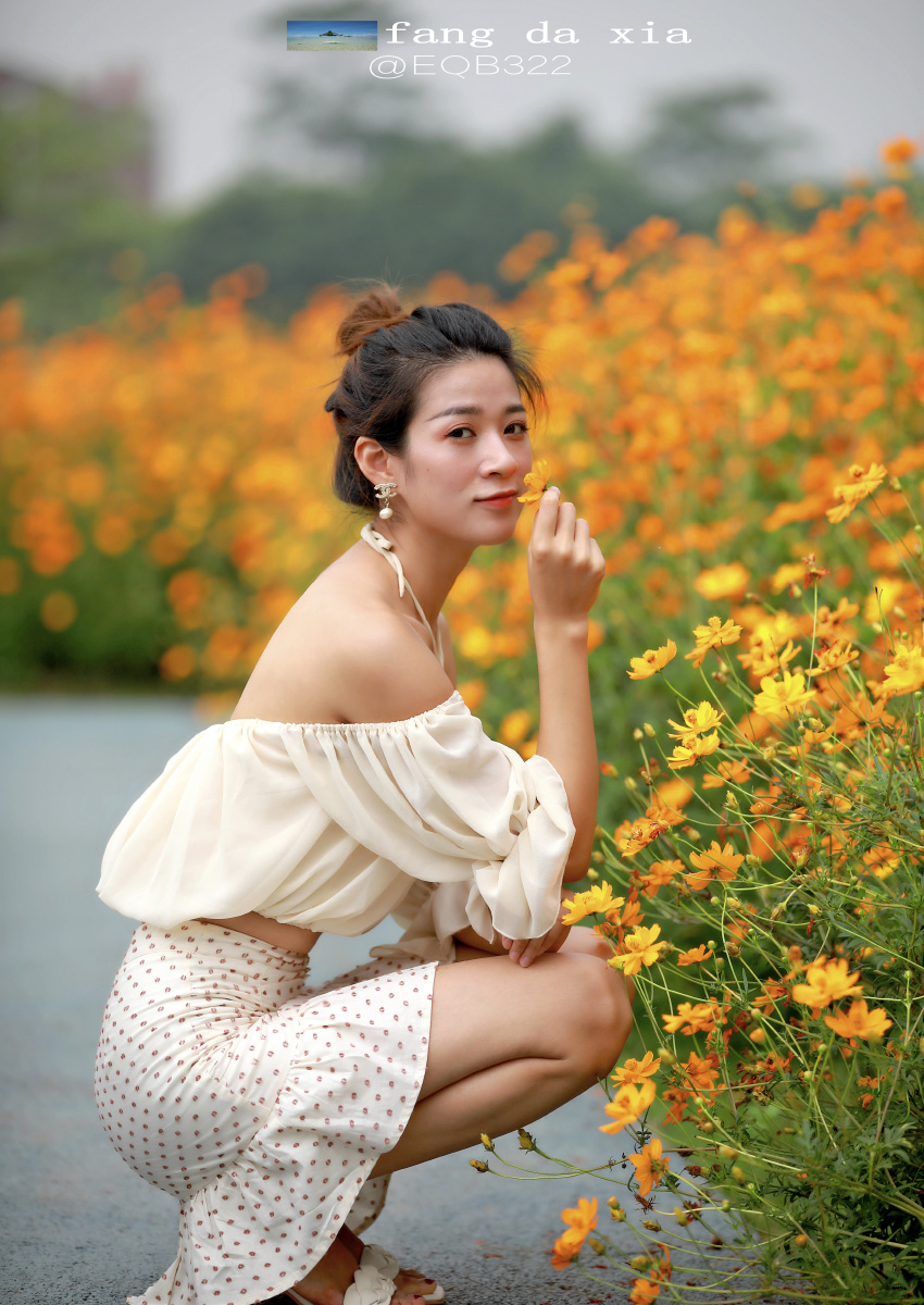 海量图片速度记录花海中的四川美女