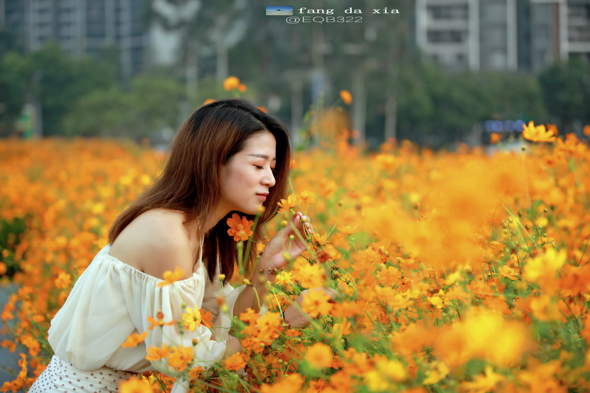 海量图片速度记录花海中的四川美女