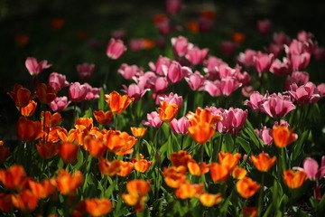 EF72C344-1FC6-473F-A79B-F28A71FA2982/L0/001
