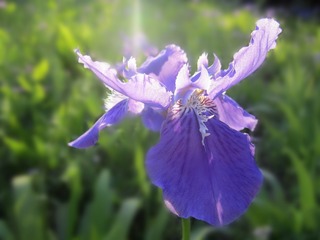 IMG_7644_