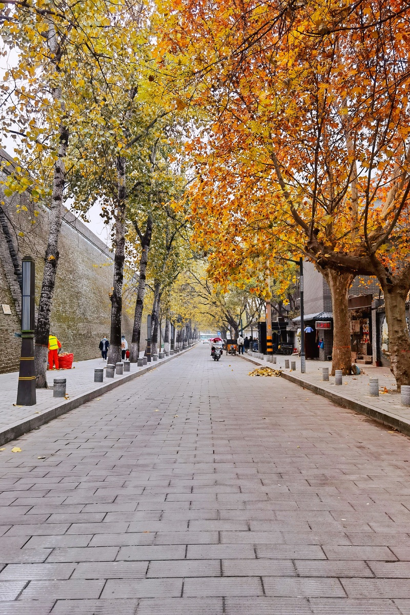 冬日漫步长安城城墙下下马陵