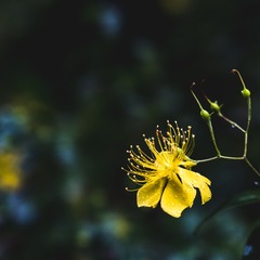 92086