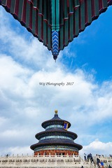 20170305-_DSC9891-编辑-编辑-编辑-编辑
