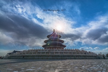 20170305-_DSC9937-编辑-编辑-编辑-编辑-编辑