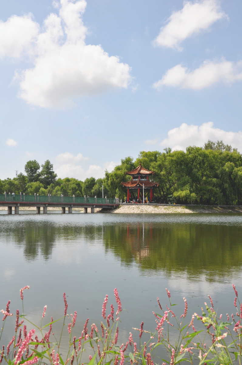 雁鸣湖的春夏秋冬拍摄于哈尔滨市依兰县雁鸣湖公园