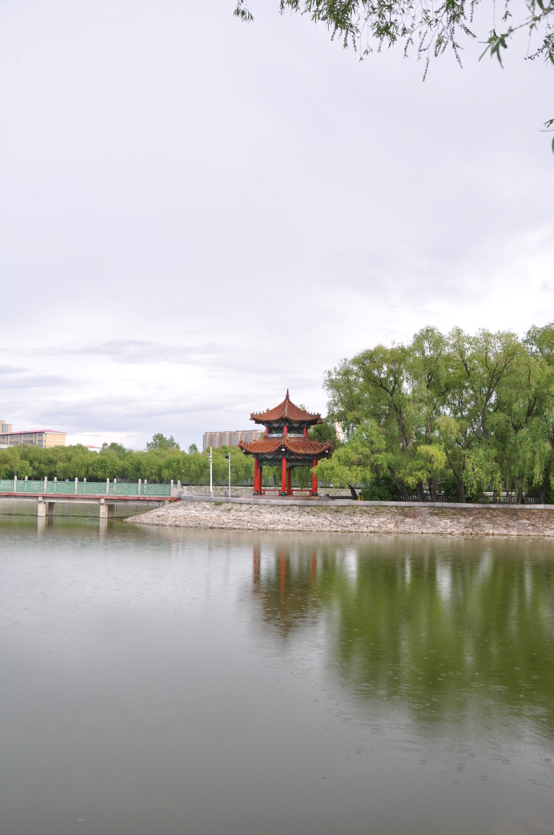 雁鸣湖的春夏秋冬拍摄于哈尔滨市依兰县雁鸣湖公园