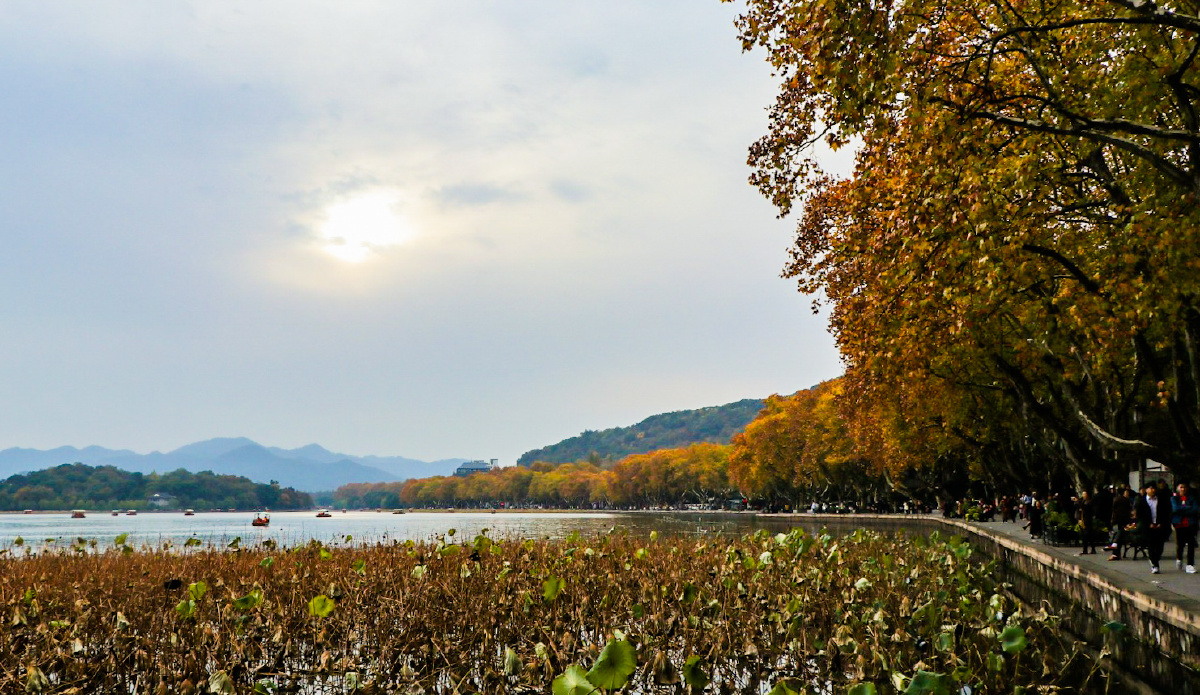 感受一下秋天的西湖