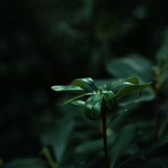 2F8BE150-653D-4A4F-8685-8F75651C37F8/L0/001