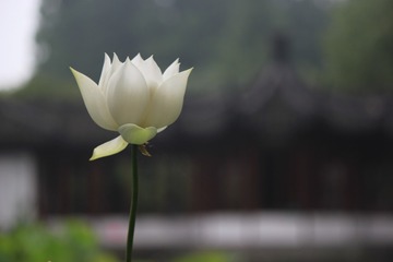 280942