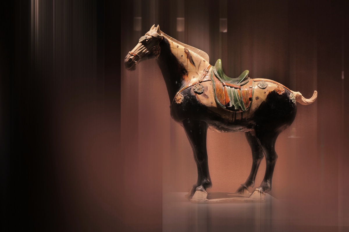 神彩飞扬三彩黑釉马唐朝618907丨20201206午时1981年洛阳龙门安菩夫妇