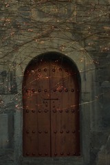 1596976