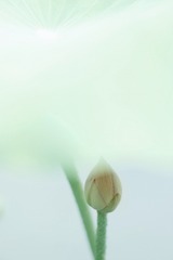 1000274505