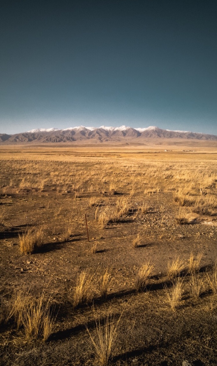 途径荒原心情贼好