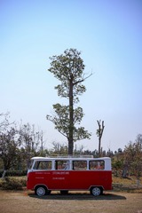 160649