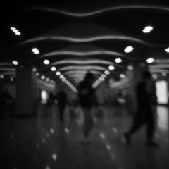 3749841