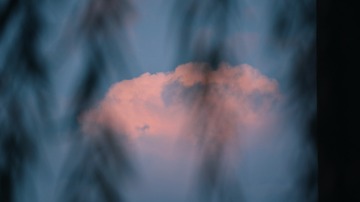 5C940971-3589-47BF-8270-FC7C01555022/L0/001
