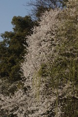 D1582DEE-DD4A-4387-85E5-D3CCB015EF08/L0/001