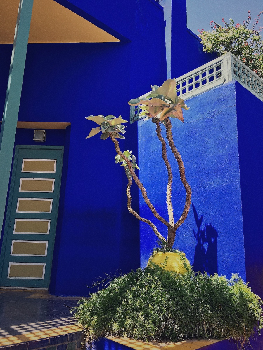 摩洛哥马拉喀什马若雷勒花园一角ysl式蓝