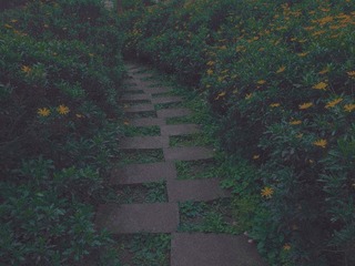 1548353
