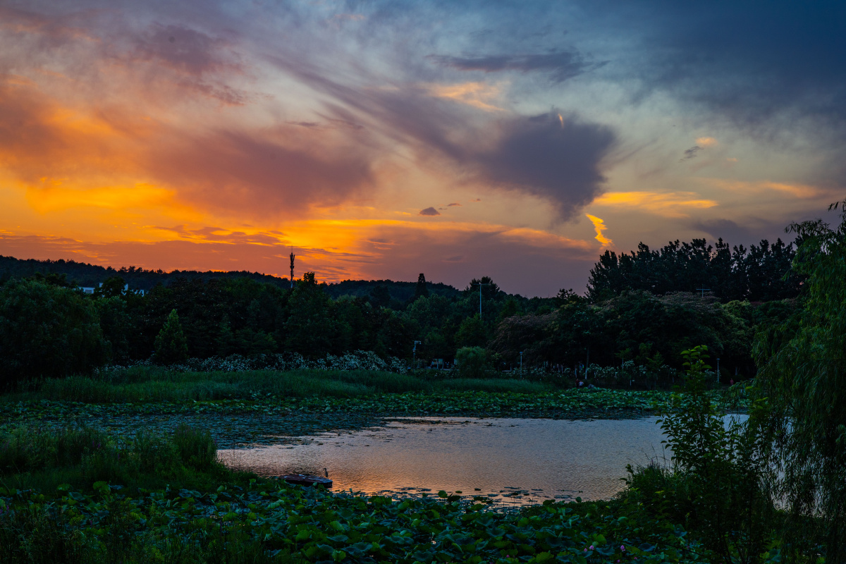 大美合肥——日落蜀山 大蜀山国家森林公园位于合肥城市西部蜀山区内