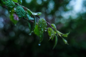 454C667F-7E2A-4702-9F60-9176EBF4F8E0/L0/001