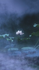 IMG_1188