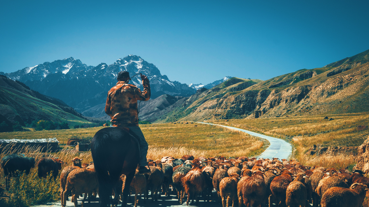 雪山下牧羊人———索尔巴斯陶