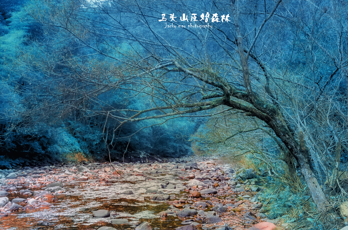 马头山原始森林
