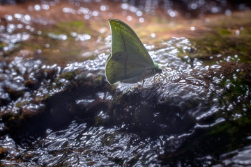 DSC_3491-2s
