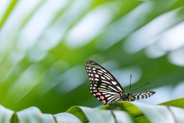 6F5D65A6-9FD8-4344-9ADC-3F3E34DDAED4/L0/001